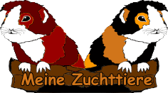 Zuchttiere